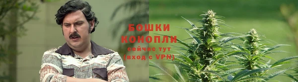 mix Богородицк
