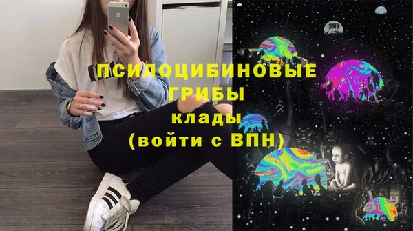 mix Богородицк
