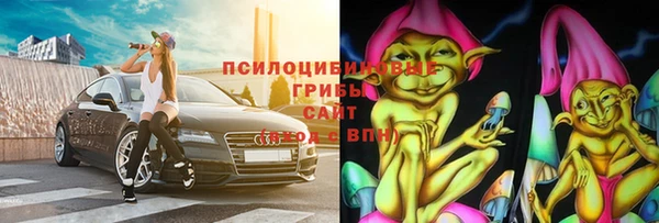 mix Богородицк