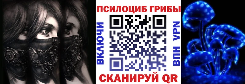 Псилоцибиновые грибы Psilocybe  нарко площадка клад  Шахунья 